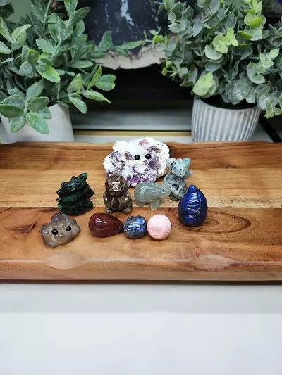 plant/Dragon Bundle (6)-0-thumbnail