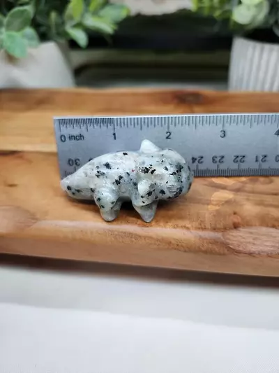 plant/Kiwi Jasper axolotl-1-thumbnail