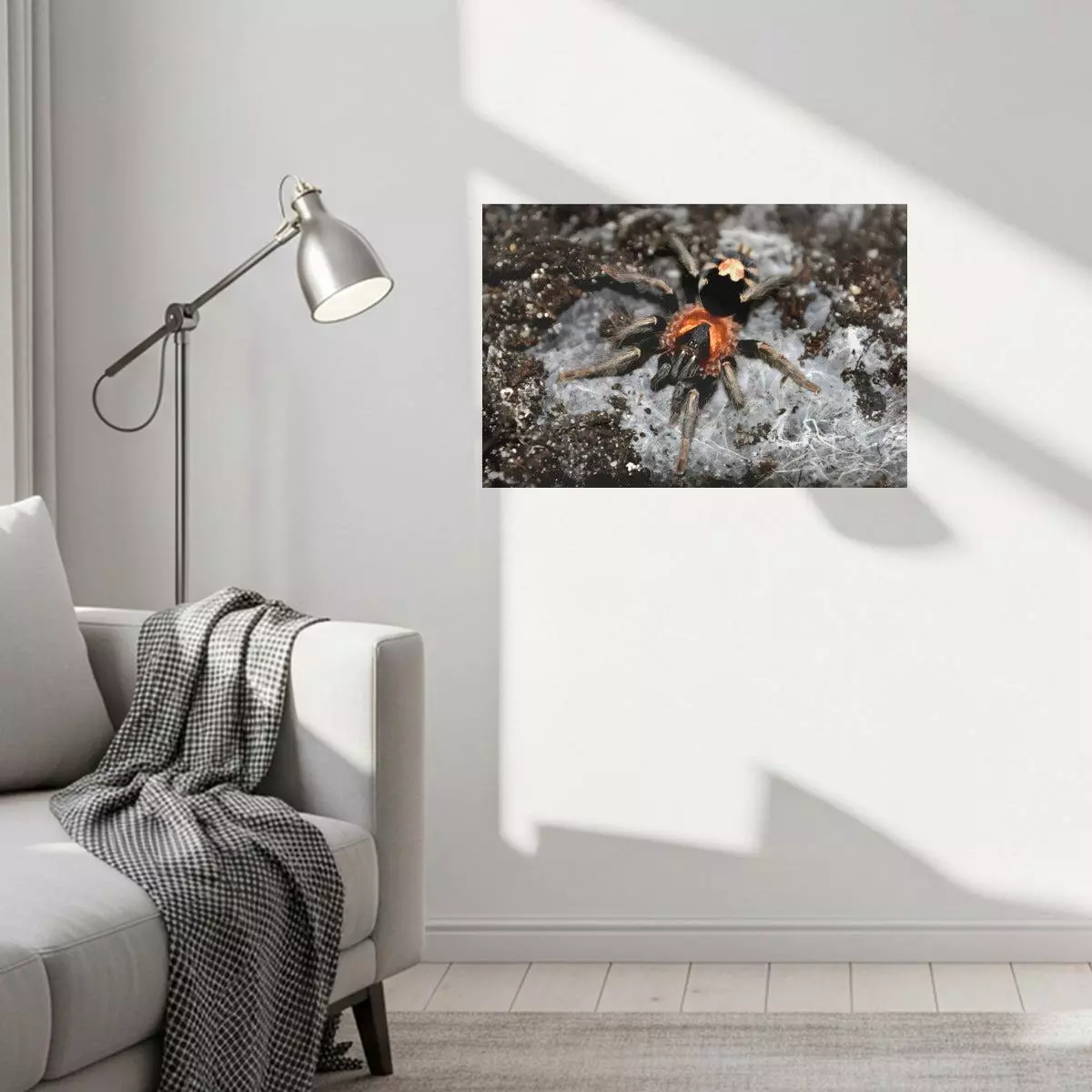 plant/Bifrost Constrictors C. Elegans canvas Print 11.8"x17.7" (30x45cm)-0