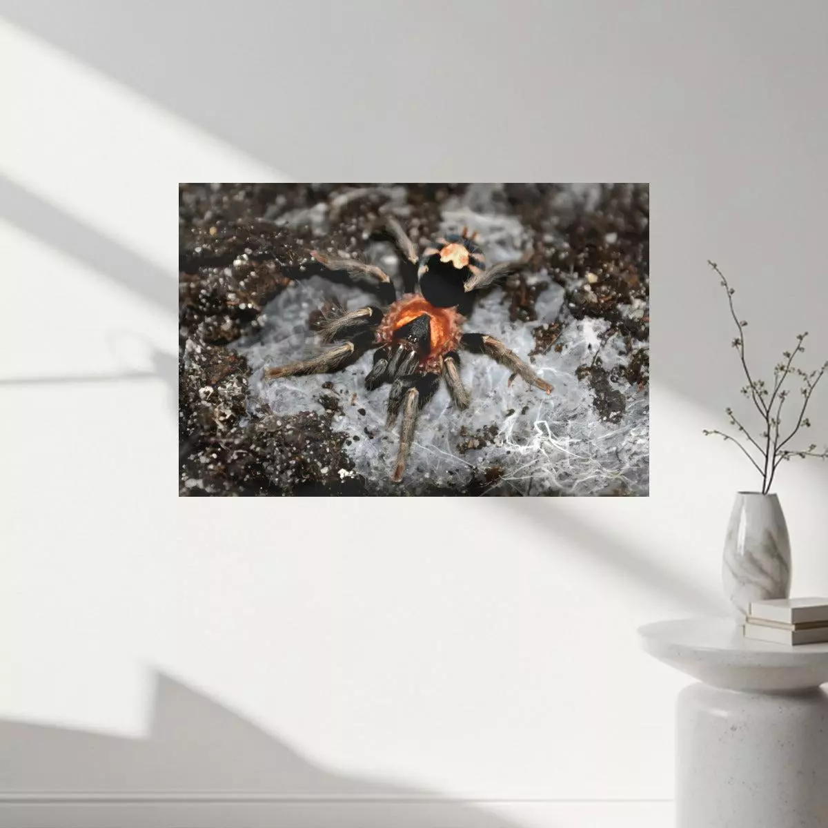 plant/Bifrost Constrictors C. Elegans canvas Print 11.8"x17.7" (30x45cm)-1