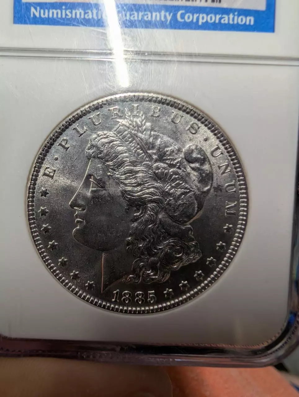 plant/1885 Morgan Dollar NGC BU-3