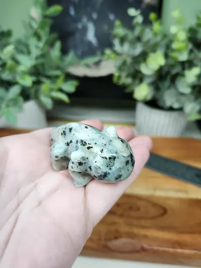 plant/Kiwi Jasper axolotl-0-thumbnail