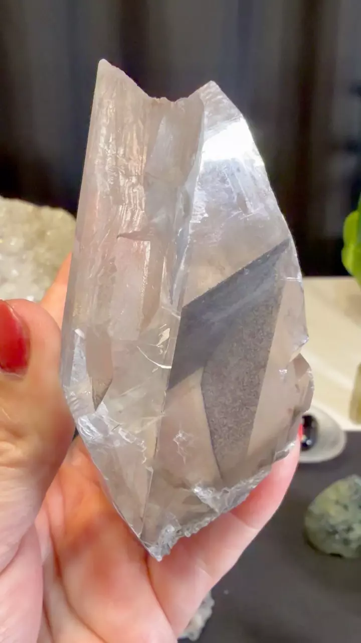 plant/Silver Phantom Selenite Rare-2