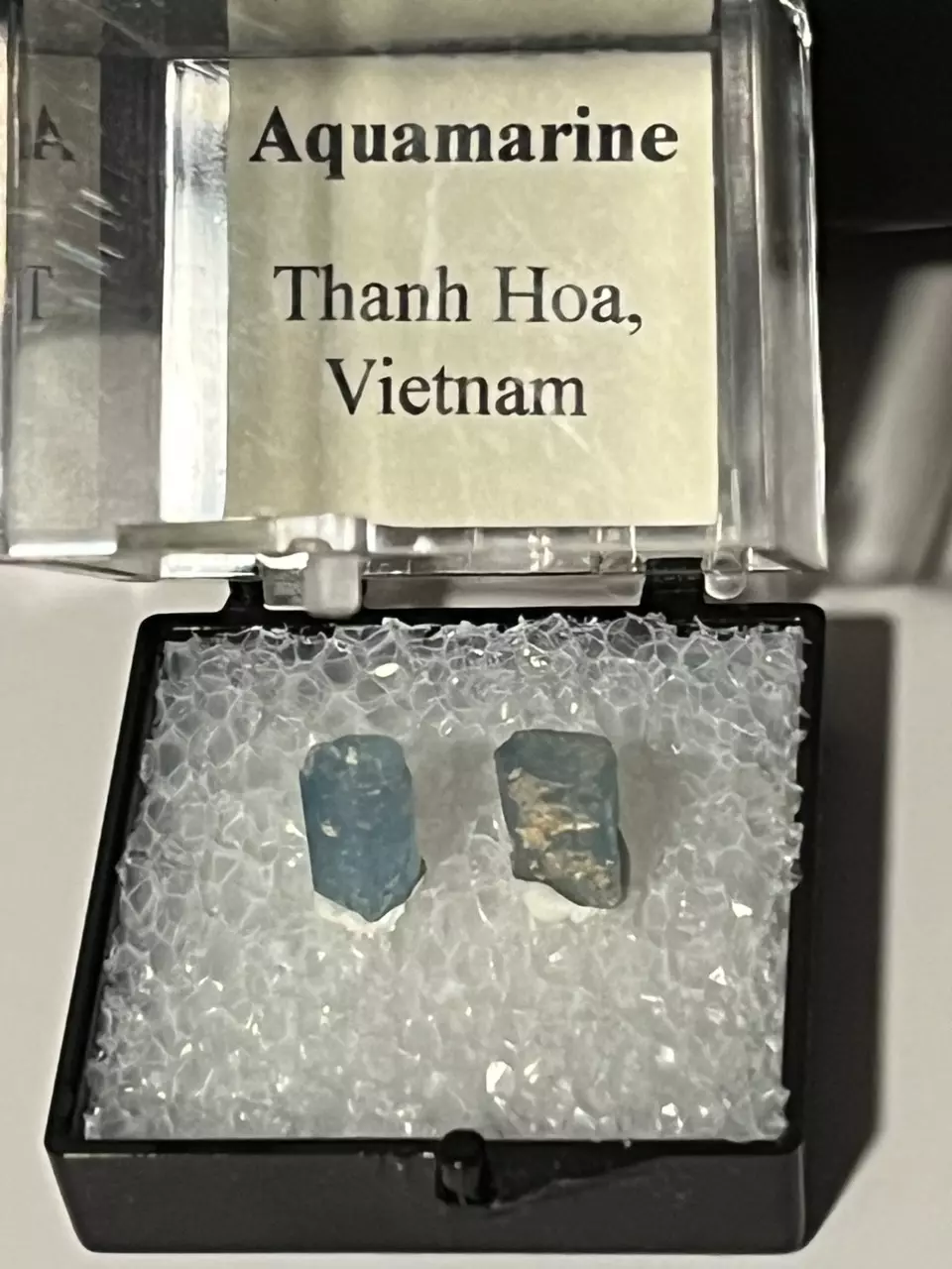 plant/Aquamarine duo specimen - Thanh Hoa Vietnam 🇻🇳-0