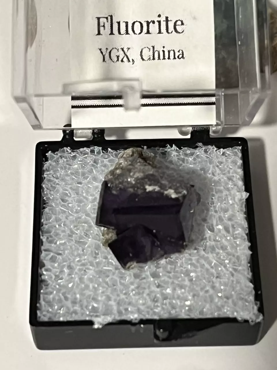 plant/Fluorite YGX China 🇨🇳-0