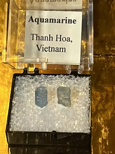 plant/Aquamarine duo specimen - Thanh Hoa Vietnam 🇻🇳-1-thumbnail
