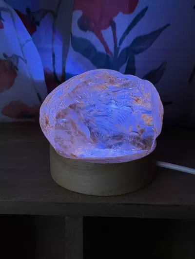 plant/$40 | Golden Healer Window Quartz (light stand not included)-2-thumbnail