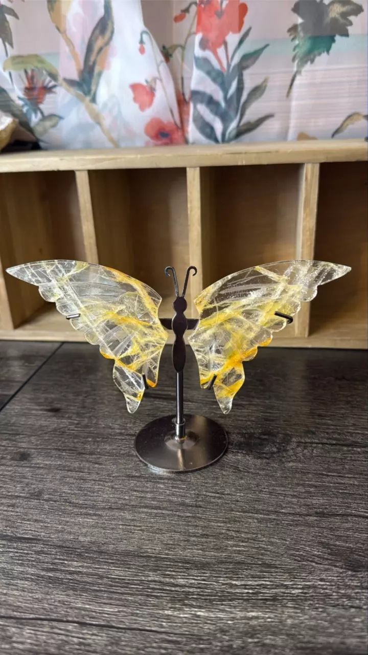 plant/$42 | Golden Healer Wings-0