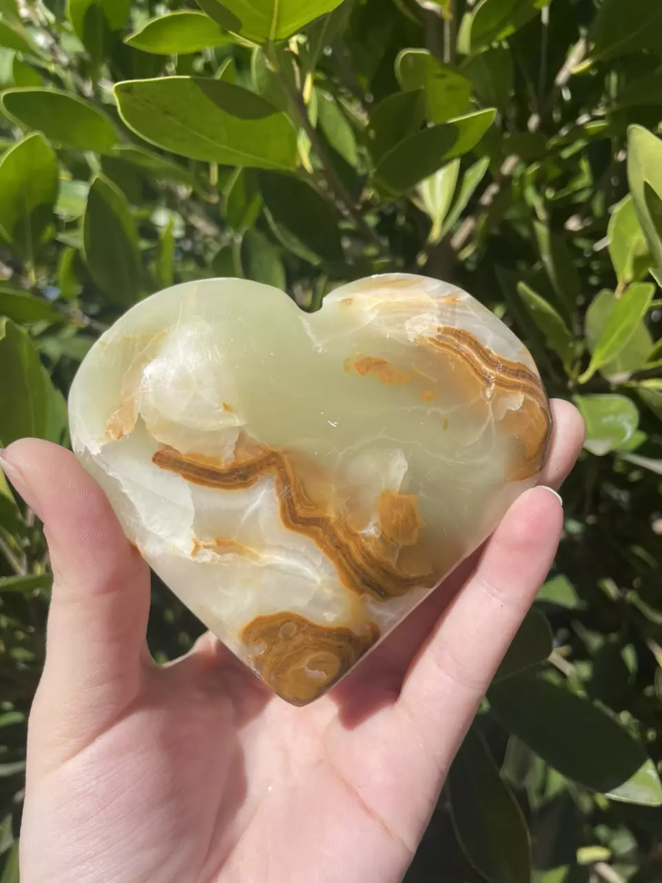plant/Green Onyx Heart-0