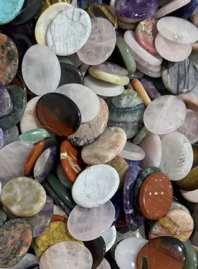 plant/50 palm stones-0-thumbnail