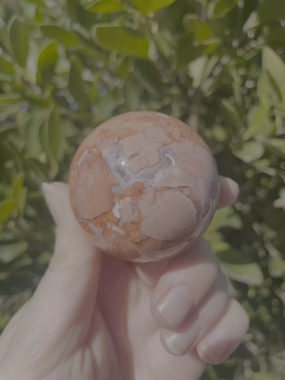 plant/Cotton Candy Agate Sphere-0