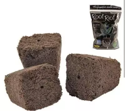 plant/10 Brownie plugs-0-thumbnail