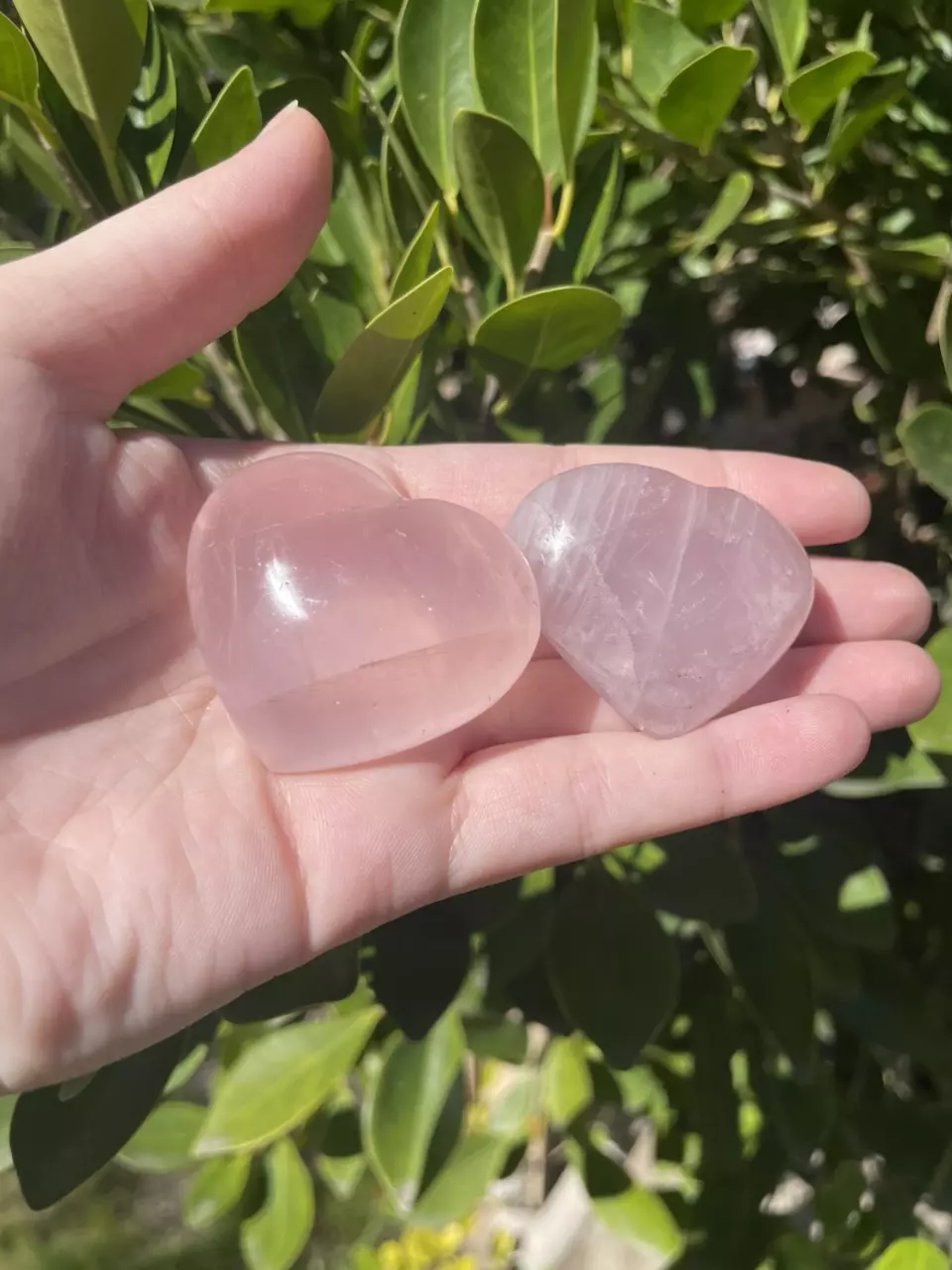 plant/Rose Quartz Heart-0