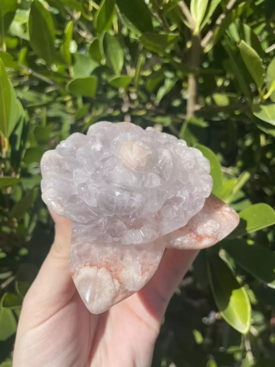 plant/Pink Amethyst Flower Carving-0