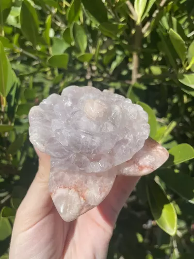 plant/Pink Amethyst Flower Carving-0-thumbnail