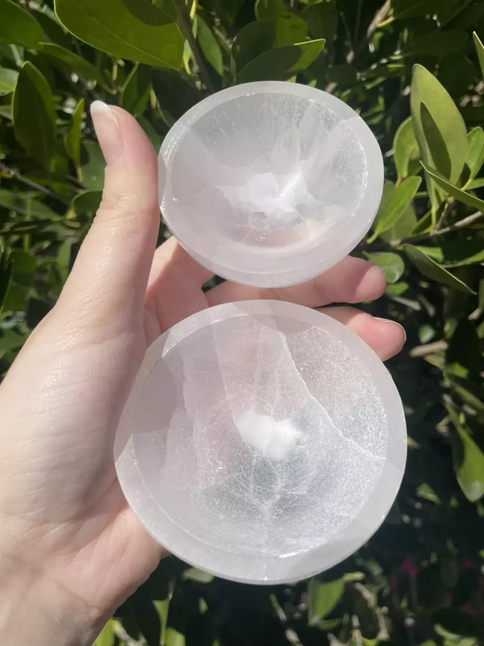 plant/Clear Selenite Bowl-0