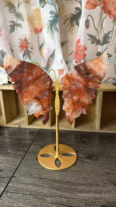 plant/$90 | Fire Quartz Wings-0-thumbnail