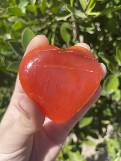 plant/Carnelian Heart-0-thumbnail