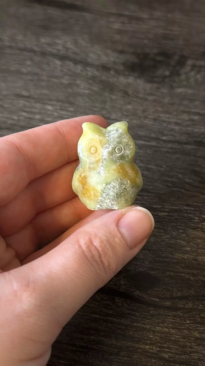 plant/$8 | Jasper Owl-0