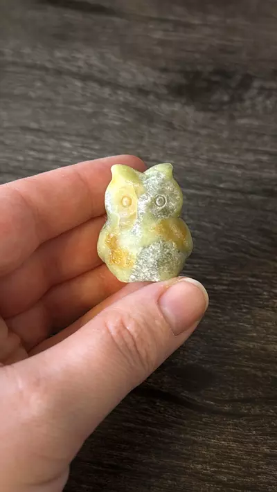 plant/$8 | Jasper Owl-0-thumbnail