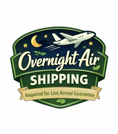 plant/UPS Overnight Air-0-thumbnail