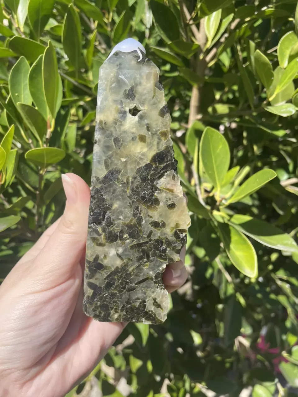 plant/Prehnite Tower-0