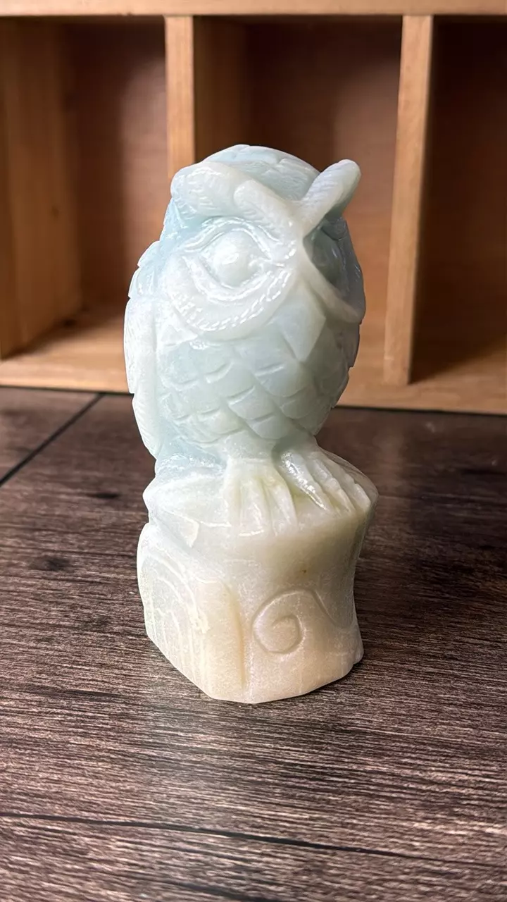 plant/$60 | Caribbean Calcite Owl-0