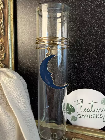 plant/🎉50% Off! Magnetic Prop Station: Moon (Large)-2-thumbnail