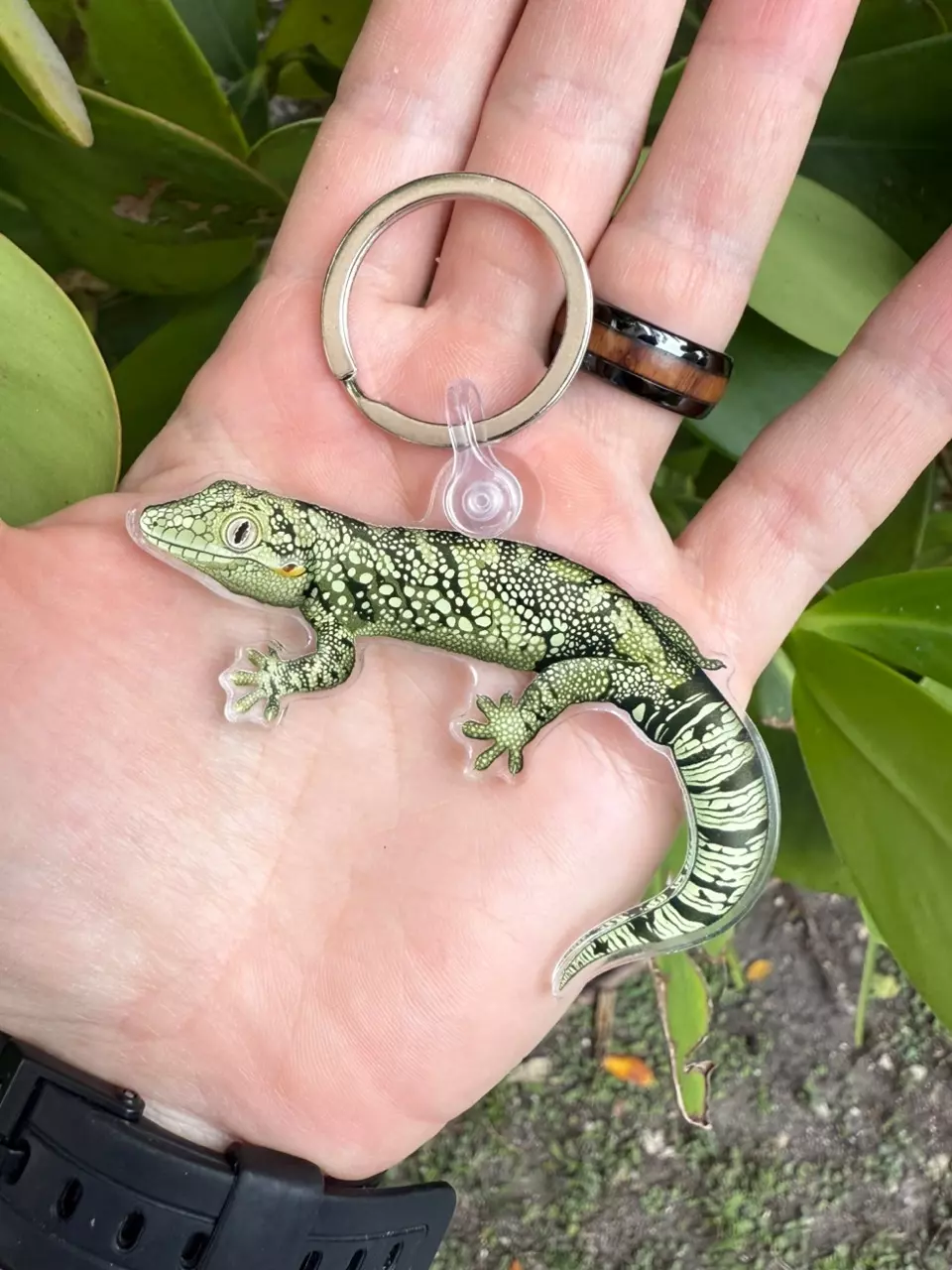 plant/Eurydactylodes Keychain-0