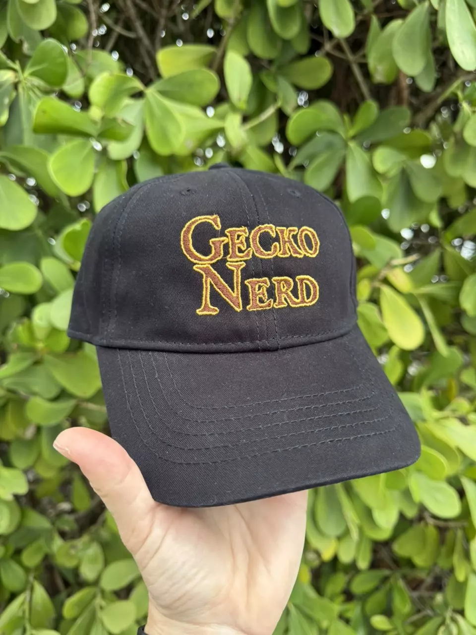 plant/Embroidered Adjustable Cap - Black-0