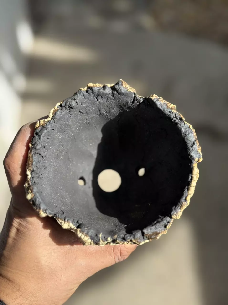 plant/Golden footed 5x4H-1