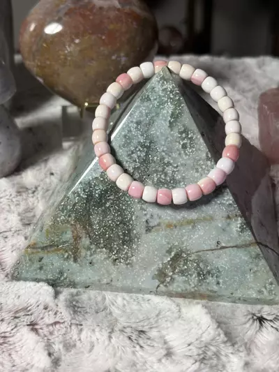 plant/Queen conch barrel bracie-0-thumbnail