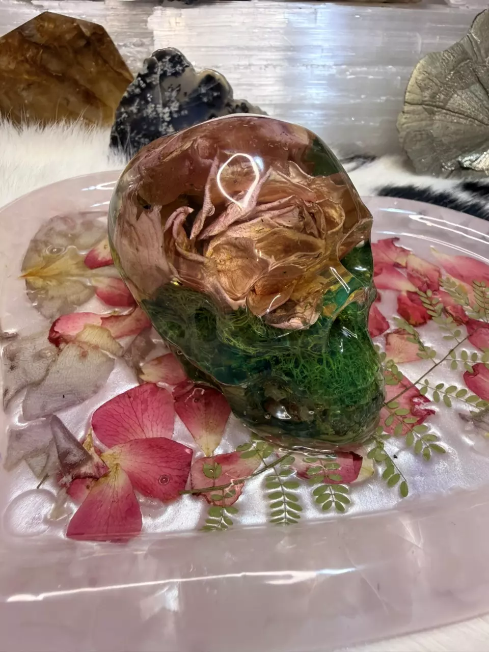 plant/Medium skull paperweight-0