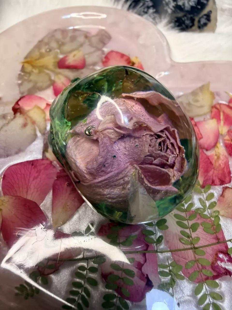 plant/Small skull paperweight-1