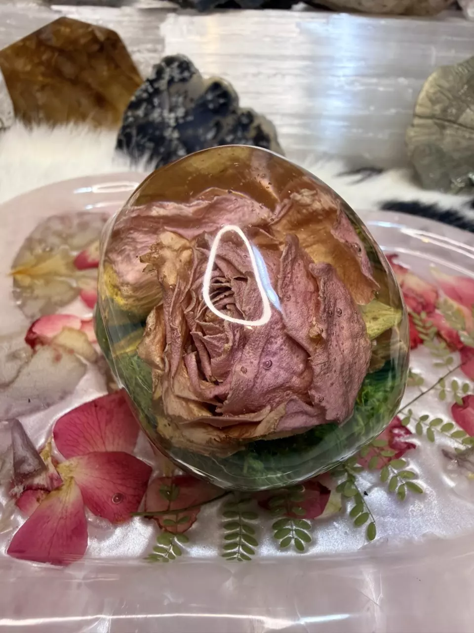 plant/Medium skull paperweight-2