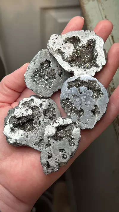 plant/$2 | Silver Aura Geode Seller’s Pick-0-thumbnail
