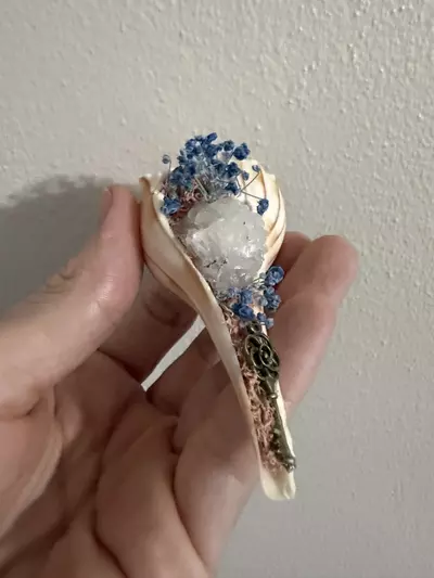plant/Conch Shell (Blue)-3-thumbnail