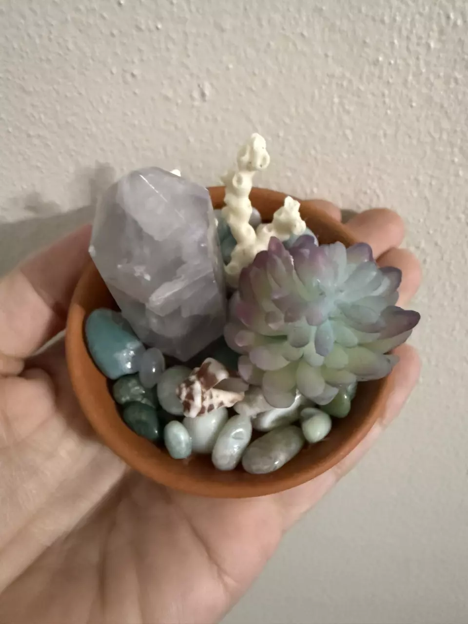 plant/Coastal themed dish-1