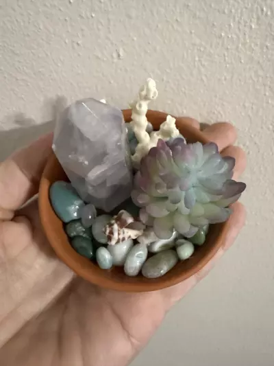 plant/Coastal themed dish-1-thumbnail