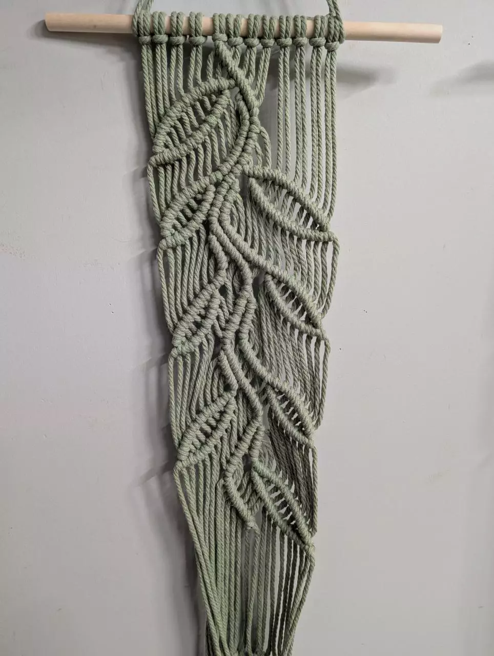 plant/Double Vining pattern-1