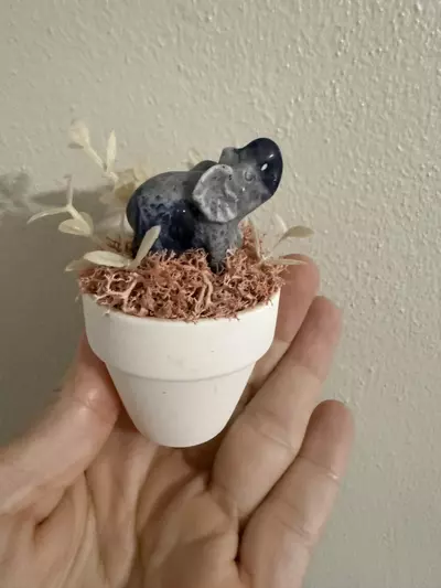 plant/Sodalite elephant flower pot-0-thumbnail