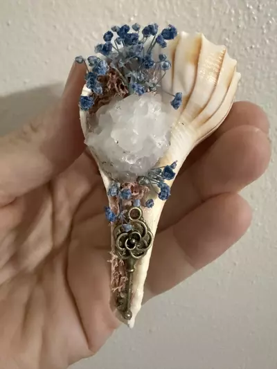 plant/Conch Shell (Blue)-0-thumbnail