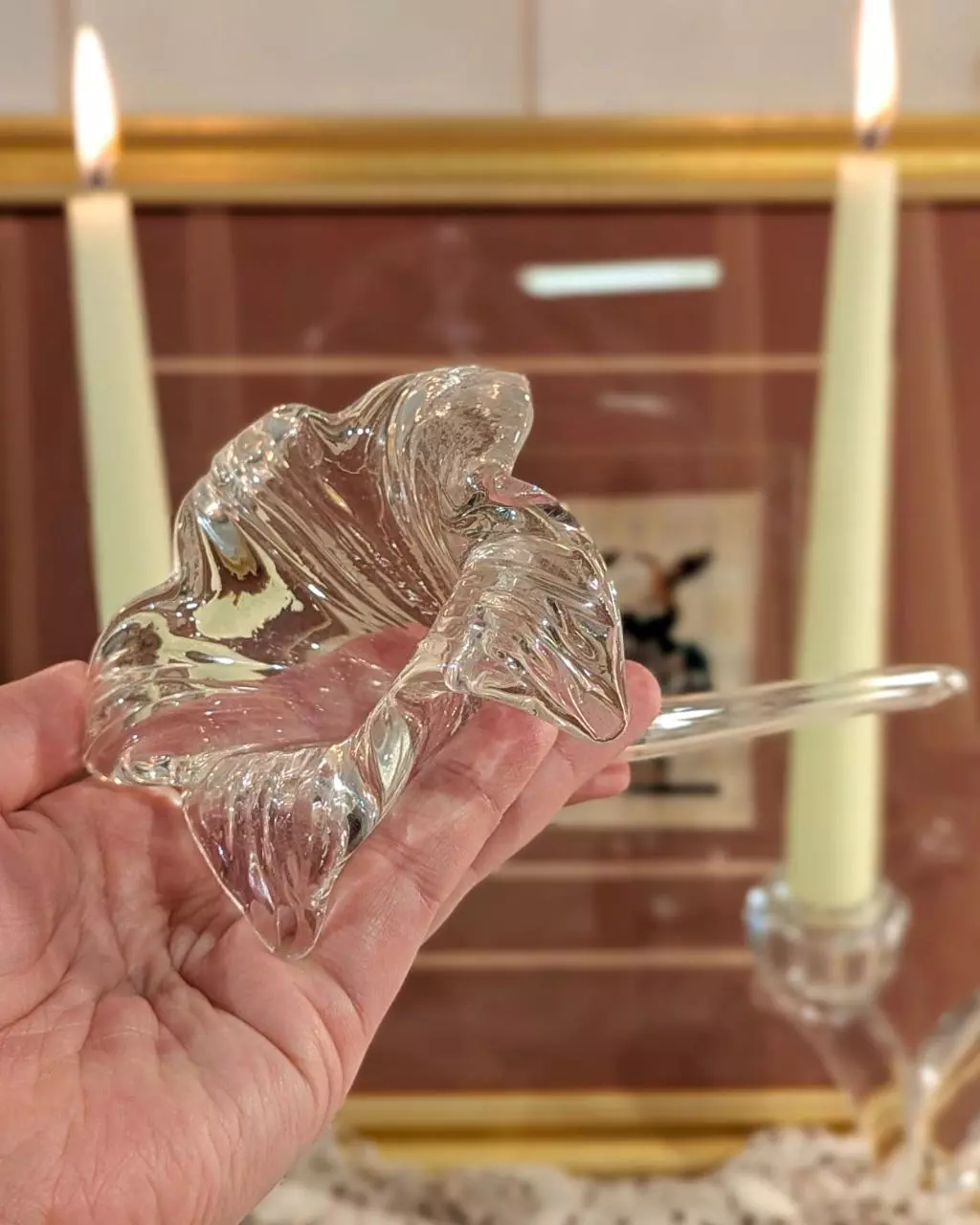 plant/clear glass flower bud vase / shelf sitter-0