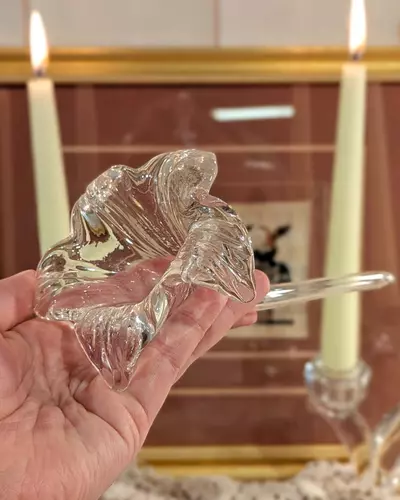 plant/clear glass flower bud vase / shelf sitter-0-thumbnail