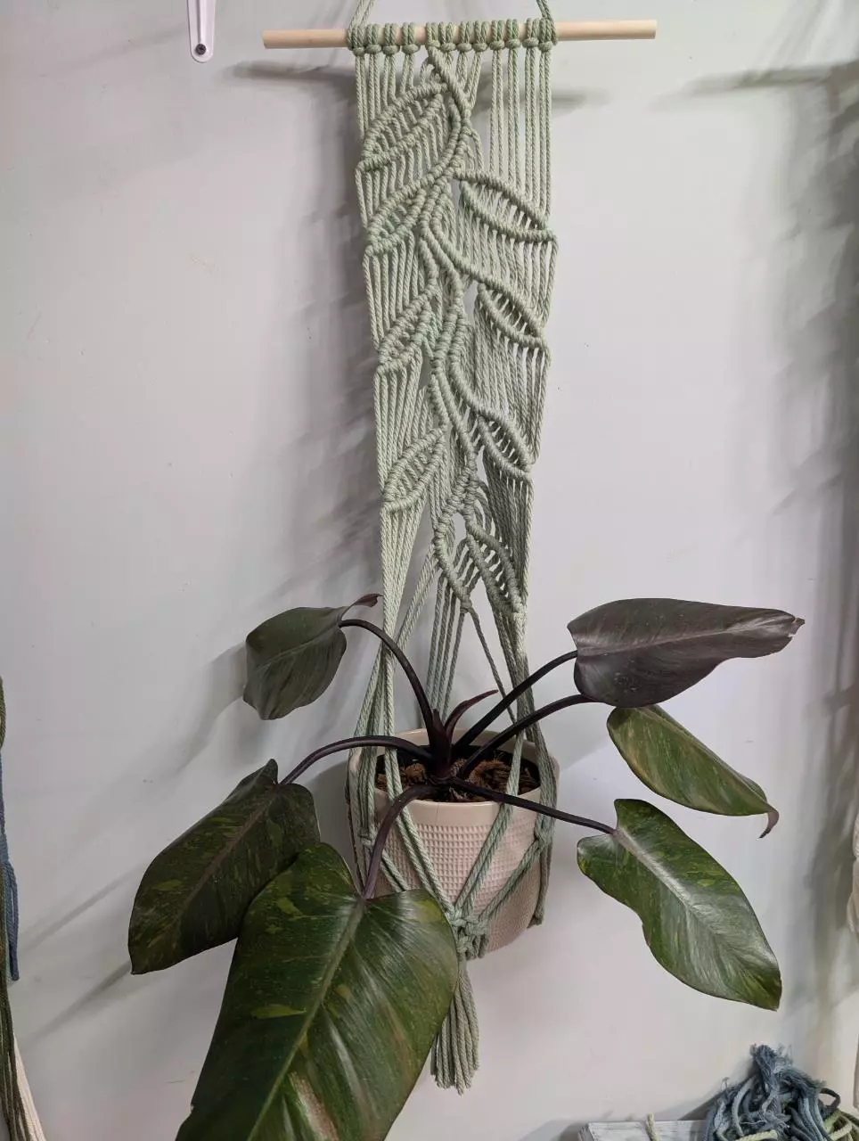 plant/Double Vining pattern-0