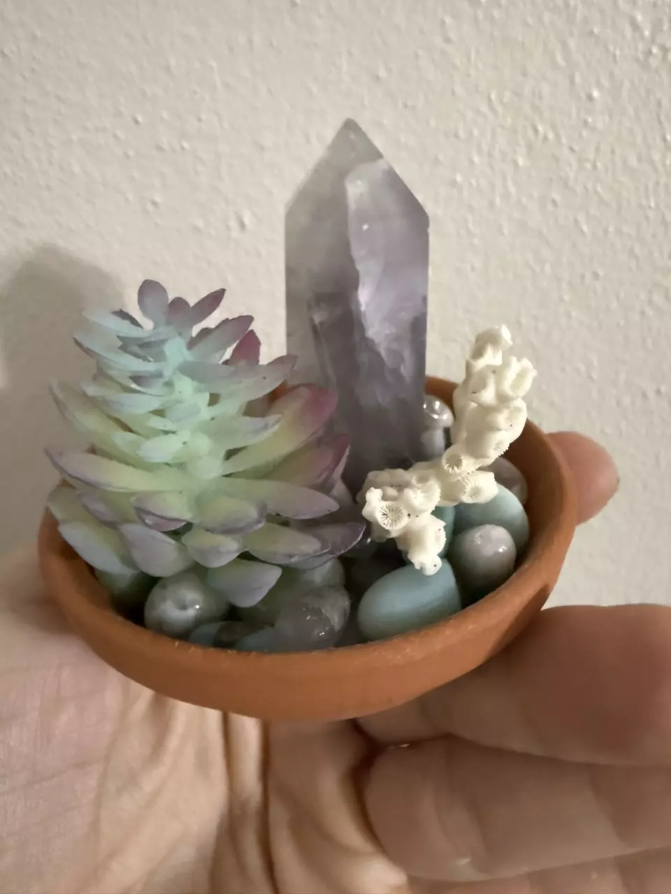 plant/Coastal themed dish-3