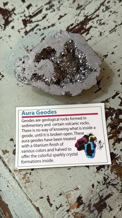 plant/$2 | Silver Aura Geode Seller’s Pick-1-thumbnail