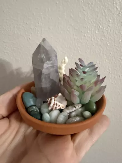 plant/Coastal themed dish-0-thumbnail