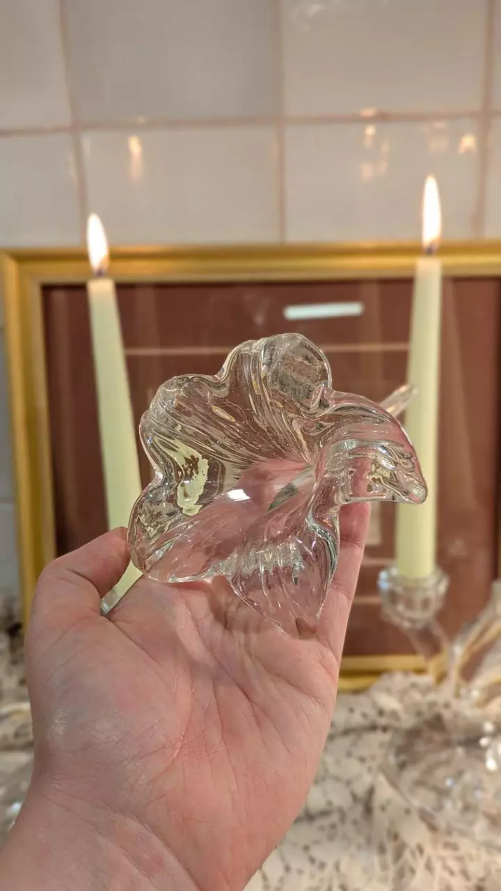 plant/clear glass flower bud vase / shelf sitter-2