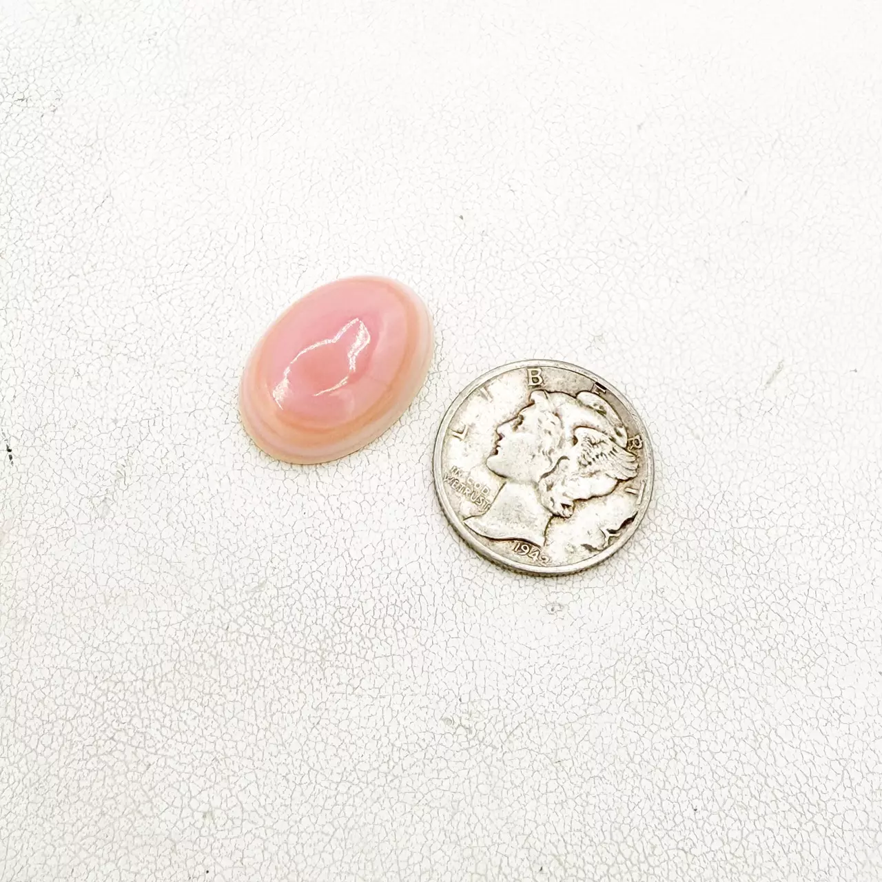 plant/Pink Conch Large Oval Cabochon-0
